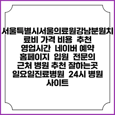 서울특별시서울의료원강남분원치료비 가격 비용 | 추천 | 영업시간 | 네이버 예약 홈페이지 | 입원 | 전문의 | 근처 병원 추천 잘하는곳 | 일요일진료병원 | 24시 병원 사이트