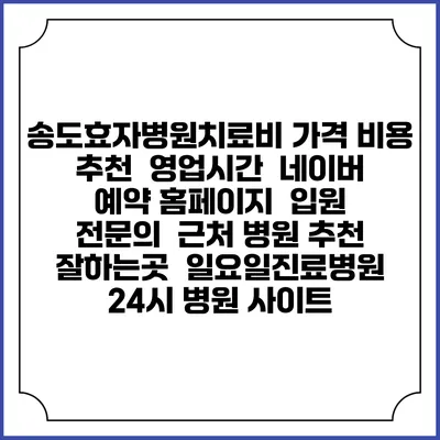 송도효자병원치료비 가격 비용 | 추천 | 영업시간 | 네이버 예약 홈페이지 | 입원 | 전문의 | 근처 병원 추천 잘하는곳 | 일요일진료병원 | 24시 병원 사이트