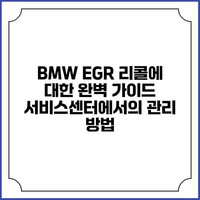 BMW EGR 리콜에 대한 완벽 가이드: 서비스센터에서의 관리 방법