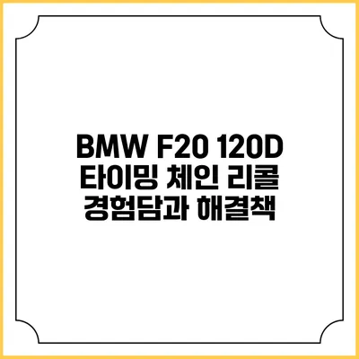 BMW F20 120D 타이밍 체인 리콜: 경험담과 해결책
