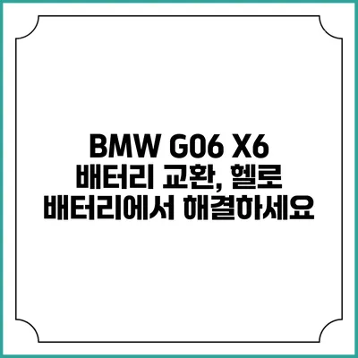 BMW G06 X6 배터리 교환, 헬로 배터리에서 해결하세요