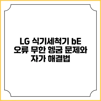 LG 식기세척기 bE 오류 무한 헹굼 문제와 자가 해결법