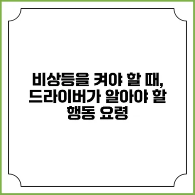 비상등을 켜야 할 때, 드라이버가 알아야 할 행동 요령