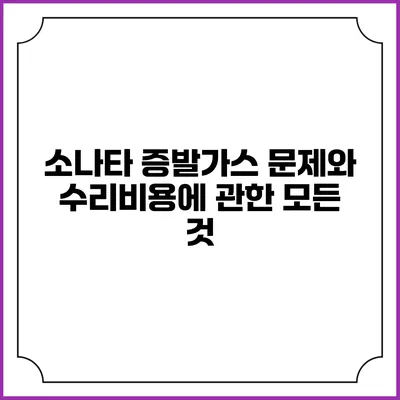 소나타 증발가스 문제와 수리비용에 관한 모든 것