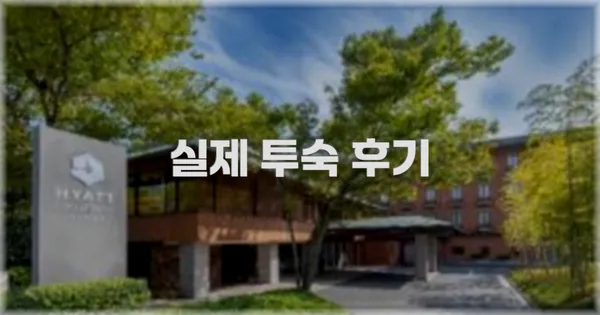 💬 실제 투숙 후기