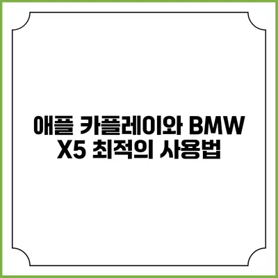 애플 카플레이와 BMW X5 최적의 사용법