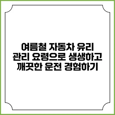 여름철 자동차 유리 관리 요령으로 생생하고 깨끗한 운전 경험하기