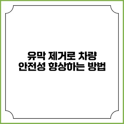 유막 제거로 차량 안전성 향상하는 방법