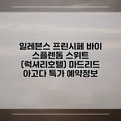 일레븐스 프린시페 바이 스플렌돔 스위트 (럭셔리호텔) 마드리드 아고다 특가 예약정보
