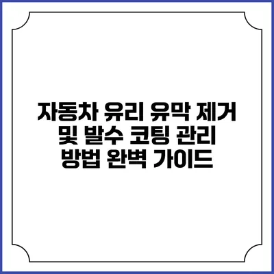 자동차 유리 유막 제거 및 발수 코팅 관리 방법 완벽 가이드
