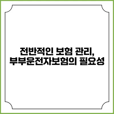 전반적인 보험 관리, 부부운전자보험의 필요성