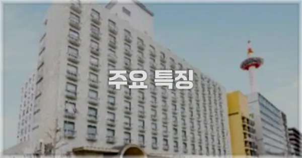 ✨ 주요 특징