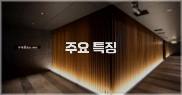 ✨ 주요 특징