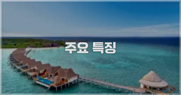 ✨ 주요 특징