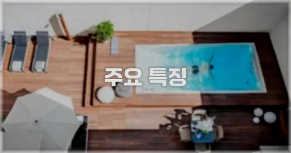 ✨ 주요 특징
