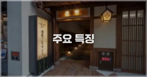✨ 주요 특징