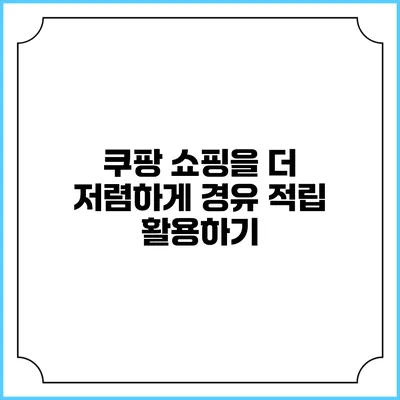 쿠팡 쇼핑을 더 저렴하게 경유 적립 활용하기