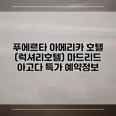 푸에르타 아메리카 호텔 (럭셔리호텔) 마드리드 아고다 특가 예약정보