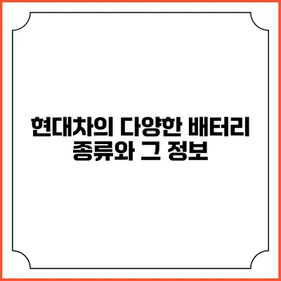 현대차의 다양한 배터리 종류와 그 정보