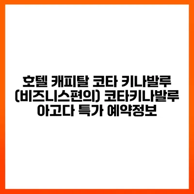 호텔 캐피탈 코타 키나발루 (비즈니스편의) 코타키나발루 아고다 특가 예약정보